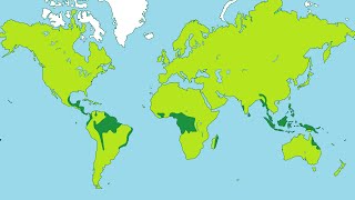 Facts about Tropical Rainforests [upl. by Bernard742]