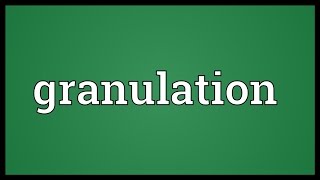 Granulation Meaning [upl. by Voltmer]