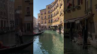 Venice Reflections A Glimpse of Italian Magic travel europeancapital italy venice venedig [upl. by Nednerb781]