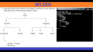 Tree Structure Directory and Files Create in MS DOS [upl. by Mallon]