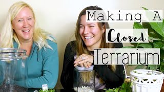 How to Make A Terrarium  How to Make A Closed Terrarium for Free [upl. by Woodsum378]