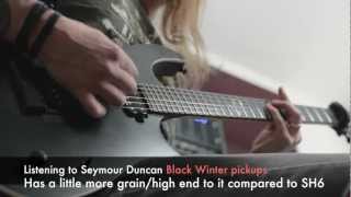 Seymour Duncan Black Winter pickups [upl. by Swen]