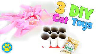 3 Super Simple DIY Cat Toys [upl. by Kahaleel145]