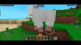 MINECRAFT FREE ROAM 🐏😁  Total Tiger [upl. by Ruthi656]