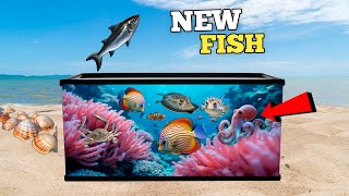 New Fish For AQUARIUM [upl. by Platas]