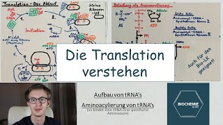 So VERSTEHST du die TRANSLATION PROTEINBIOSYNTHESE  BiochemieNow [upl. by Thom191]