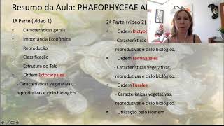 Phaeophyceae parte 2 [upl. by Alfredo]