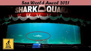 Sea World Ancol dan harga tiket 2021 [upl. by Megan]