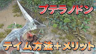 【ARK】超必須！プテラノドンテイム方法＋メリット【解説】 [upl. by Alien]