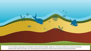 formation des gisements petrolier et gazier [upl. by Ahsrop578]