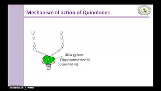 Quinolones Mechanism of action [upl. by Davine]