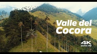 Valle del Cocora Colombia 4K [upl. by Hannazus]