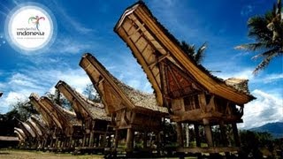 Wonderful Indonesia  Tana Toraja South Sulawesi [upl. by Alliuqal928]