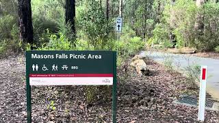 Kinglake National Park Vic [upl. by Felicidad]