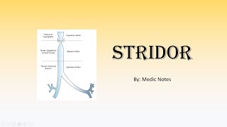 Stridor  acutechronic causes Bernoulli principle clinical features investigations management [upl. by Georgeanne392]