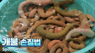 개불을 잘랐더니 피와 먹물이  개불 손질하는 법  Spoon WormGaebul  Korean street food [upl. by Rehtul511]