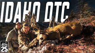 MULE DEER HUNTING WITH LLAMAS LOF EP 25 [upl. by Noman200]