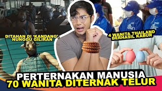 PERTERNAKAN MANUSIA 100 WANITA DIAMBIL TELURNYA [upl. by Cresida975]