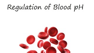 Regulation of Blood pH [upl. by Anwahsiek]