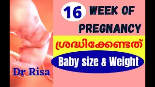 Pregnancy Week By Week Malayalam  16 Weeks Pregnant Malayalam [upl. by Tteirrah]