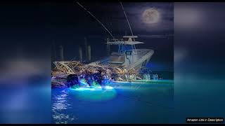 Lumitec Lighting  LED Underwater Light SeaBlaze Quattro Underwater Light Dual Color Review [upl. by Ydorb]