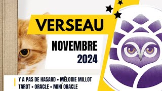 ♒️ VERSEAU • NOVEMBRE 2024 • Y a pas de hasard 😉 • TAROSCOPE DU MOIS [upl. by Aneekas]