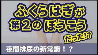 【夜間頻尿の新常識】悩める頻尿を簡単な３つの対策で治療できます！実はふくらはぎが第2の膀胱だった！？【理学療法】 [upl. by Nattie]