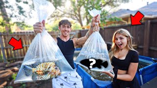 1v1 Catch the BIGGEST fish for BACKYARD POOL pond CHALLENGE Ft Girlfriend [upl. by Sanders]