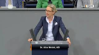 AFD Weidel Merz Scholz [upl. by Leahci]