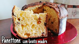 Panettone con lievito madre semplificato con impasto unico [upl. by Llohcin]