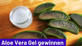 Aloe Vera Gel und Saft selber machen [upl. by Noiztneb]