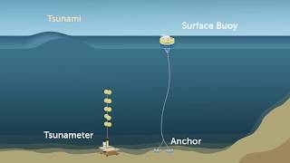 Australias tsunami detection system [upl. by Corney192]