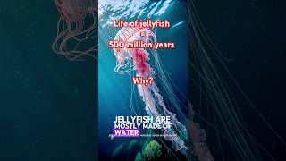 Jellyfish and Its life cyclefacts generalknowledge [upl. by Oigaib]