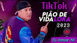 Japãozin  Pião de Vida Loka  TikTok 2023  Dj Júnior NC [upl. by Premer110]