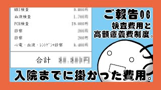 【乳がん報告6】～入院するまでにかかった検査費用は？～ [upl. by Runstadler]