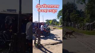 ট্রেন সিগনালের অবস্থা দেখুন  Bangladeshi Train Signal  Train Signal [upl. by Iaverne646]