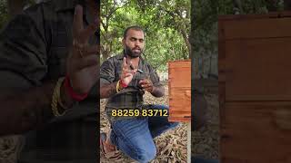 honey bee farm Tirunelveli tamil honeybeefarm bee தேனீவளர்ப்பு thenpannaitirunelveli tamil [upl. by Itnuahsa]