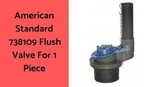 American Standard 7381090070A Flush Valve Review [upl. by Memberg]