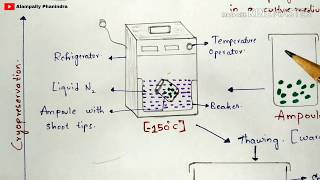 Cryopreservation technique with notes  Diagrammatic procedure  Applications  Bio science [upl. by Vary706]