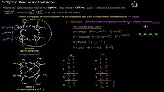 Heme and its Metabolism Porphyrins  Structure and Relevance free sample [upl. by Bohman239]