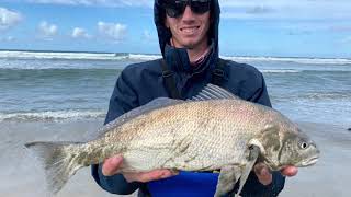 Surf Fishing Del Mar Beach Croaker and Corbina in the winter [upl. by Ielerol856]