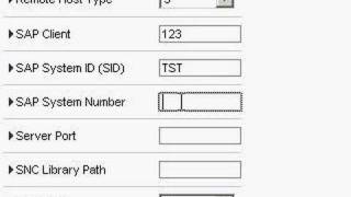 SAP NetWeaver Portal system creation [upl. by Blancha]