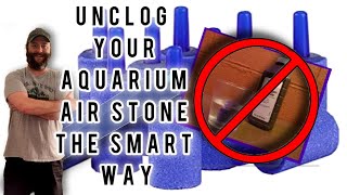 Unclog Your Aquarium Air stone The correct way aquariumhobby [upl. by Airotciv]