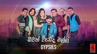 Gypsies  Owath Wadada Malli ඕවත් වැඩද මල්ලි  Official Audio [upl. by Yhtorod155]