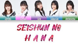 Kobushi Factory こぶしファクトリー  Seishun no Hana 青春の花The Flower of Youth  Lyrics 歌詞歌割日本語English [upl. by Aseela]