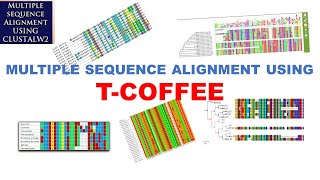 Sequence Alignment  Multiple Sequence Alignment  TCOFFEE  Bioinformatics Tutorials [upl. by Adnamahs]