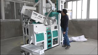 Best mini rice mill or small Rice Mill 1TPH MR9S [upl. by Marquet746]