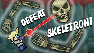 EASY HOW TO DEFEAT THE SKELETRON  Terraria Tutorial 13 [upl. by Kermit]