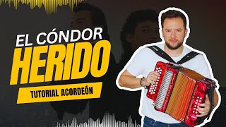 Tutorial acordeón vallenato  El condór herido Diomedes Diaz amp Juancho Rois [upl. by Quentin]