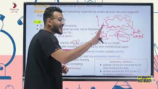 Membraneous Organelles part Akasr alainy 2024 [upl. by Danelle]